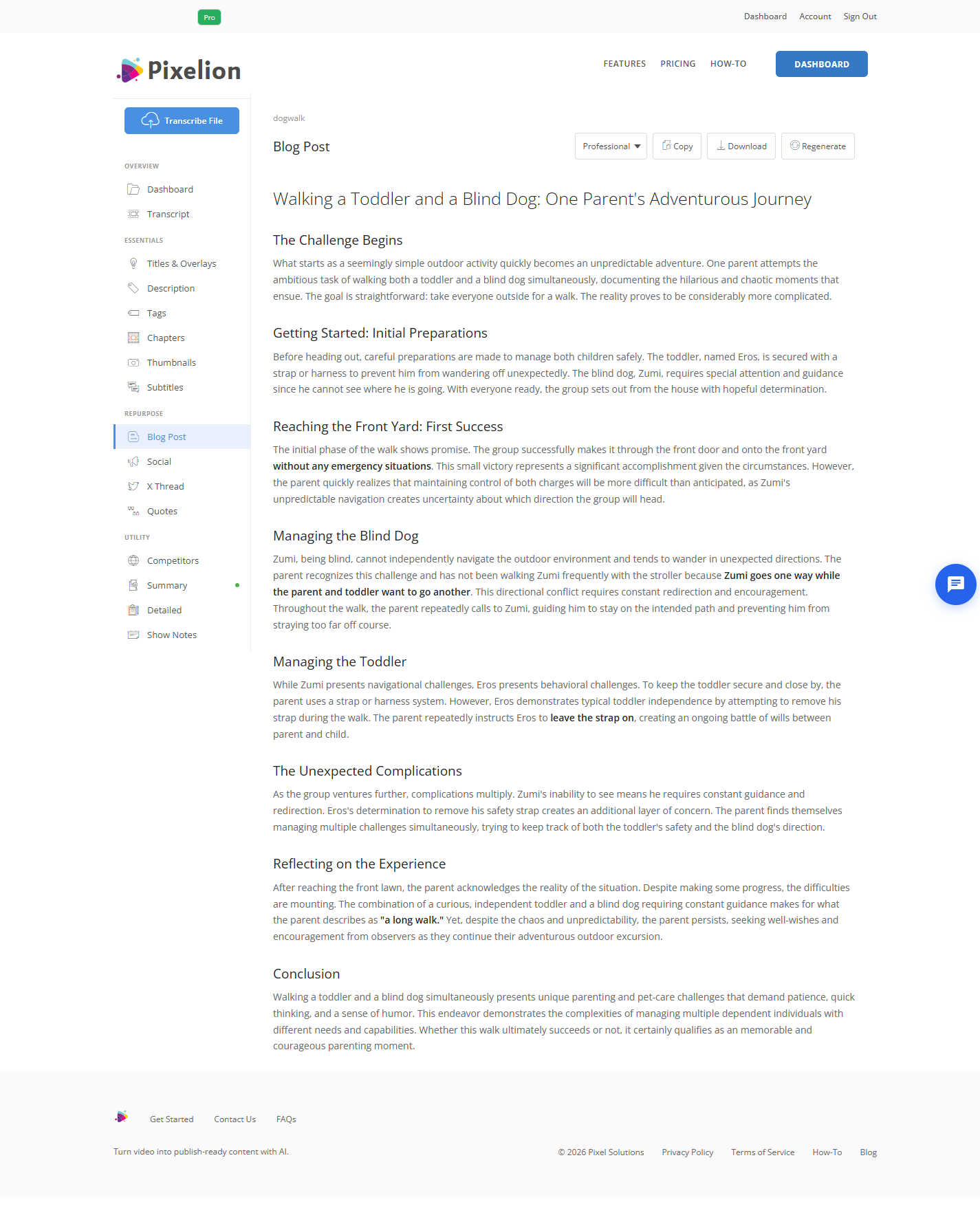 Pixelion blog post generated from a video transcript, with heading structure