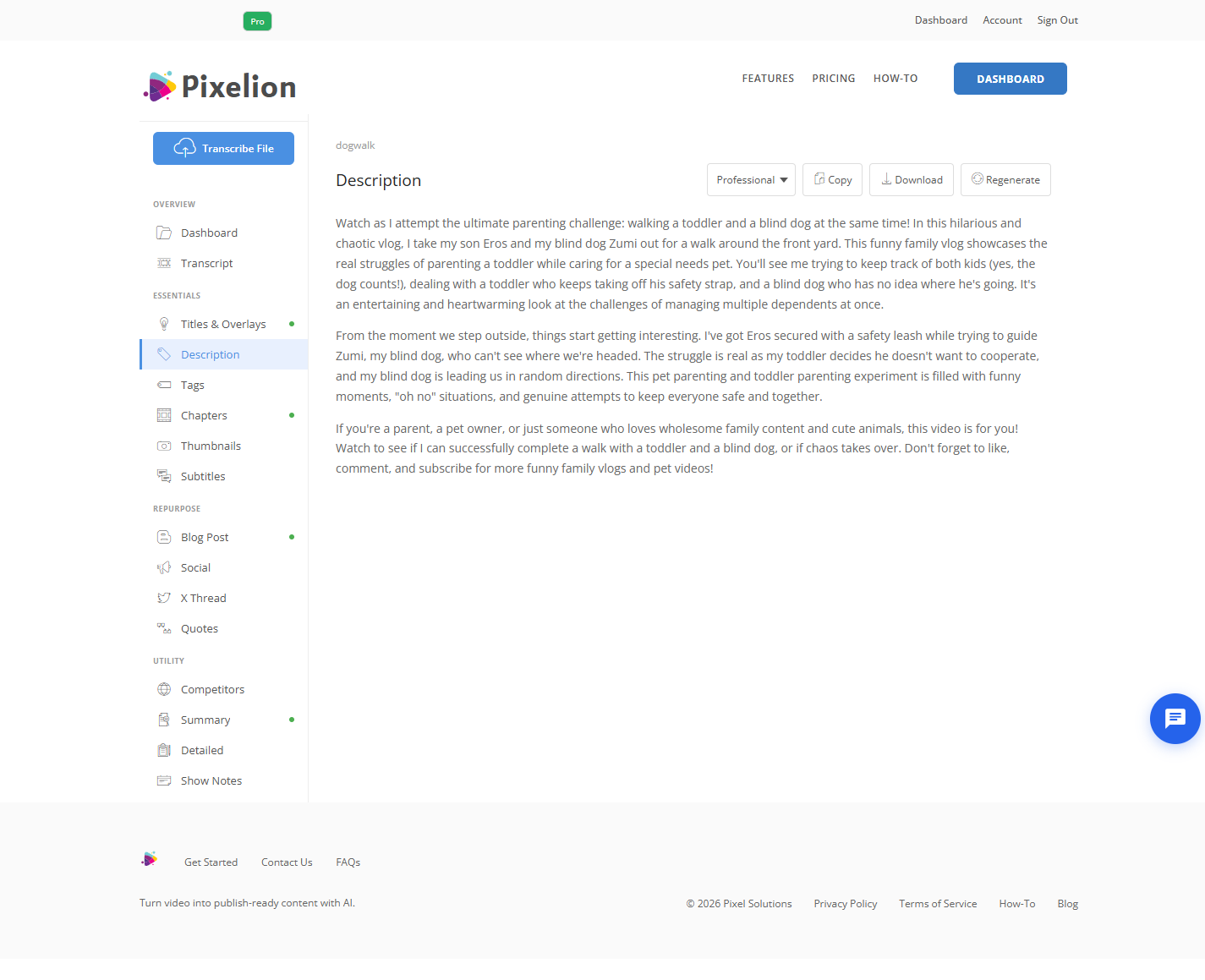 Pixelion SEO-optimized video description generated from a transcript