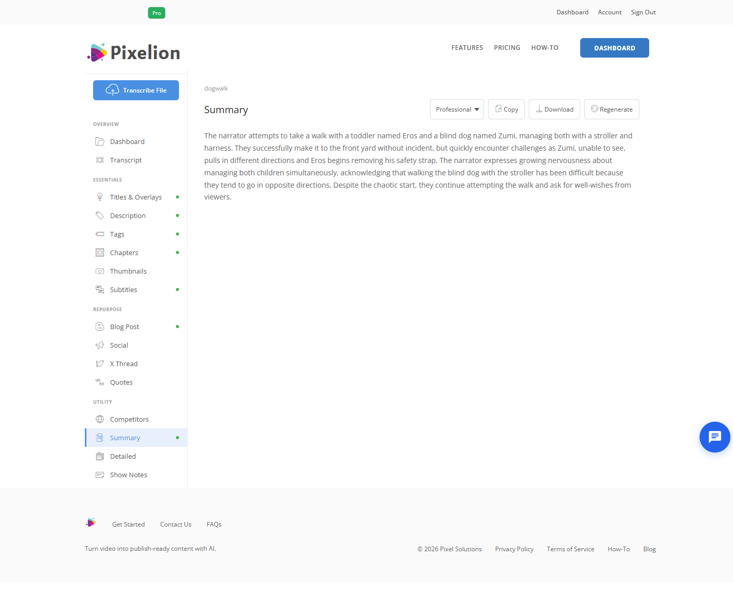 Pixelion summary generated from a video transcript