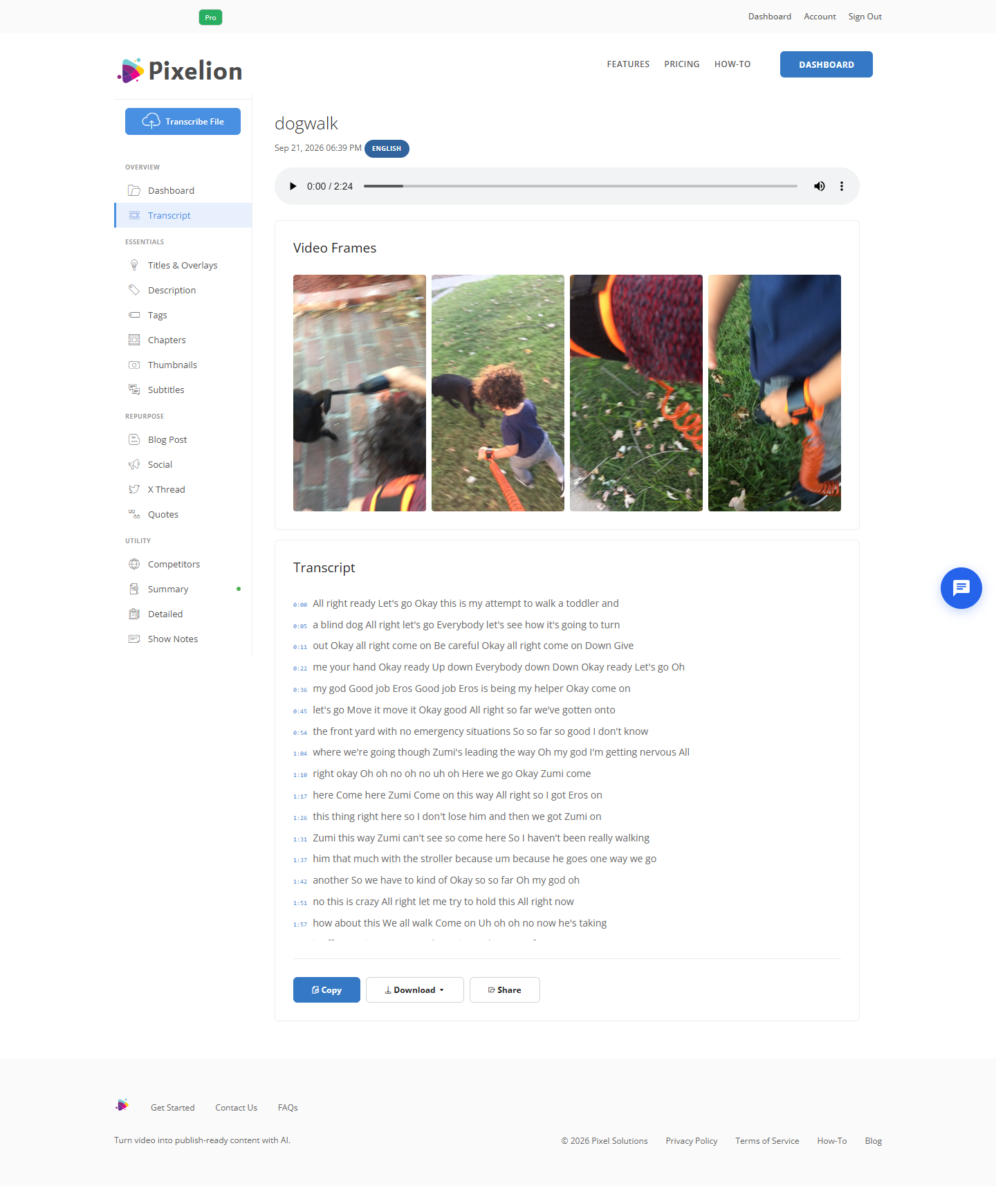 Pixelion transcript view with timestamps and an audio player