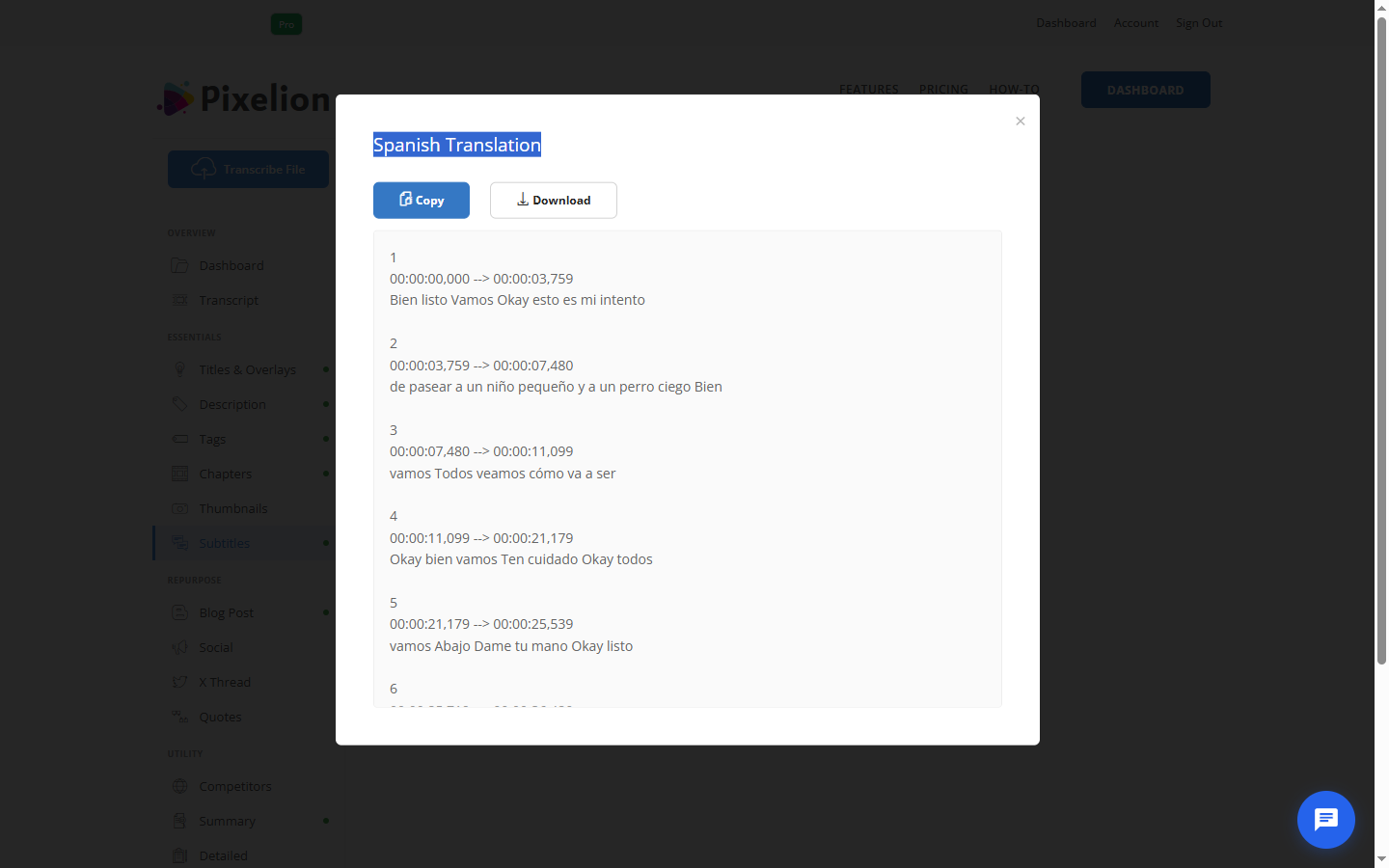 Pixelion translated SRT subtitles with timestamps